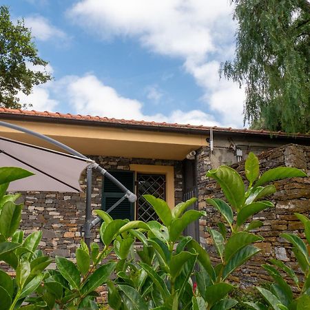 Agri Borgata Vallone - Apartments - By Host4U Lecchiore Bagian luar foto